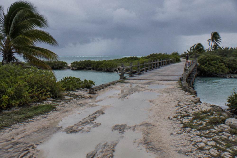 A narrow dirt track winding through low coastal forest toward a distant lagoon