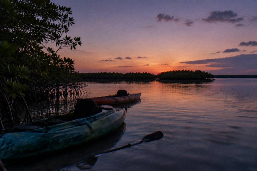 Two kayaks resting on still water at dusk with silhouetted mangroves along the horizon