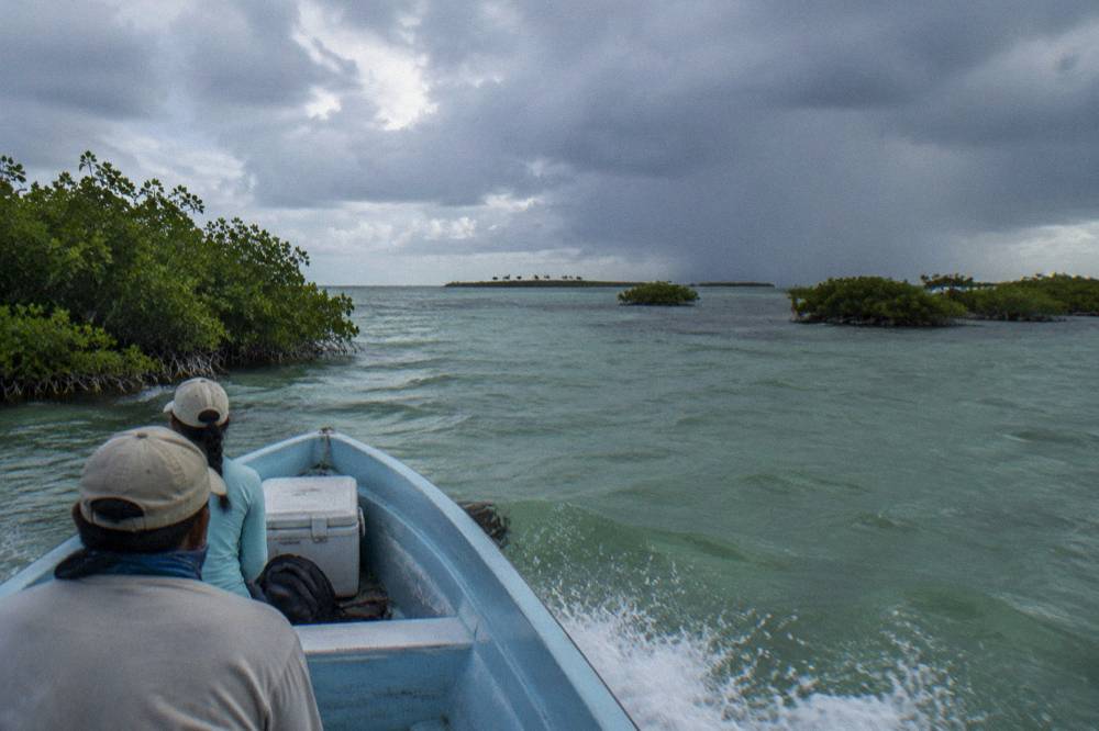 Small open boat crossing wide shallow lagoon water dotted with mangrove islets