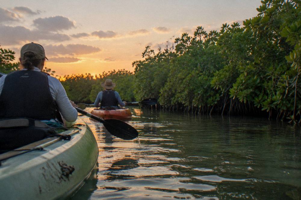 Two kayaks gliding across a glassy lagoon toward a line of mangroves at sunset