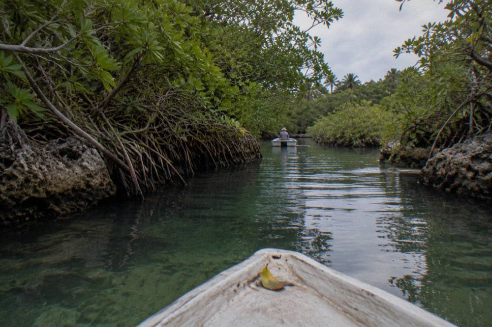 Small boat drifting through a narrow water channel lined with mangroves