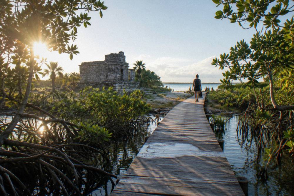 Boardwalk trail leading through mangrove forest toward a lagoon