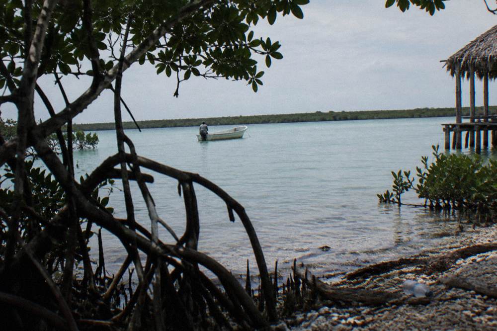 Small boat on a wide calm lagoon surrounded by mangroves