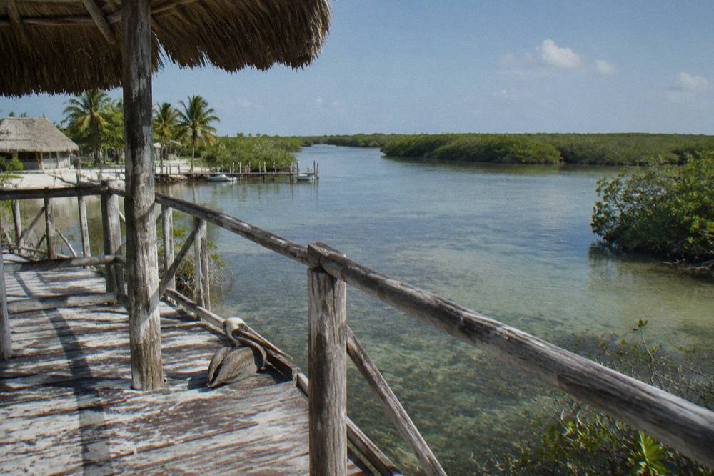 A wooden observation platform above a wide shallow lagoon surrounded by mangrove forest