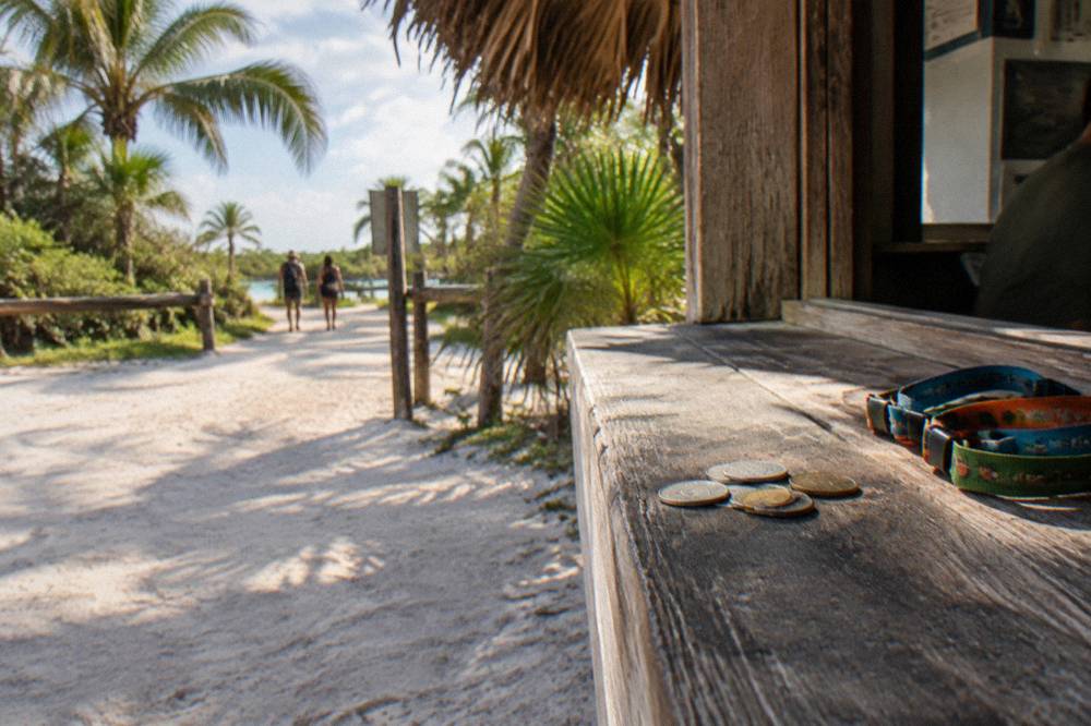 Mexican peso banknotes held beside a wooden park entrance booth shaded by palms