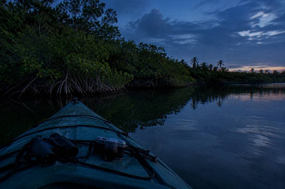 Binoculars and a small camera resting on a kayak deck facing mangrove shoreline at dusk