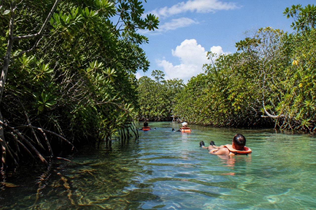 Sian Ka'an: Muyil floating canal with life vests and mangrove walls